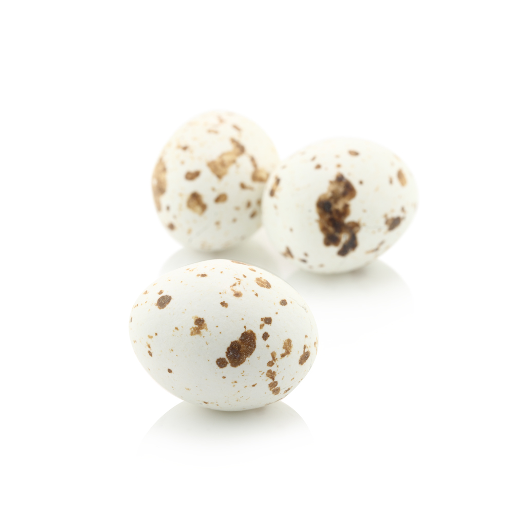Chocolate Eggs with Hazelnut Praline 