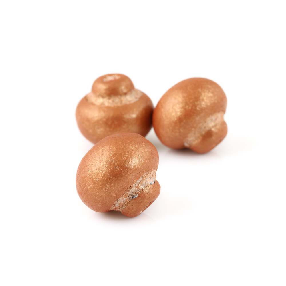 Chocolate Mushrooms with Caramel Filling