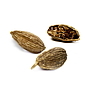 Cardamom Beans Roasted